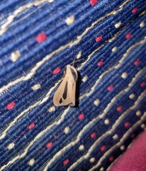 Creatonotos gangis-interrupta agg