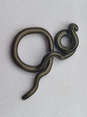 Epictia vindumi