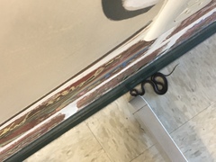 Rhadinaea macdougalli