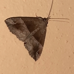 Ophisma
