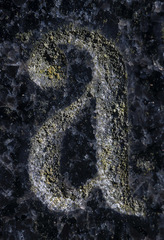 Scoliciosporum umbrinum