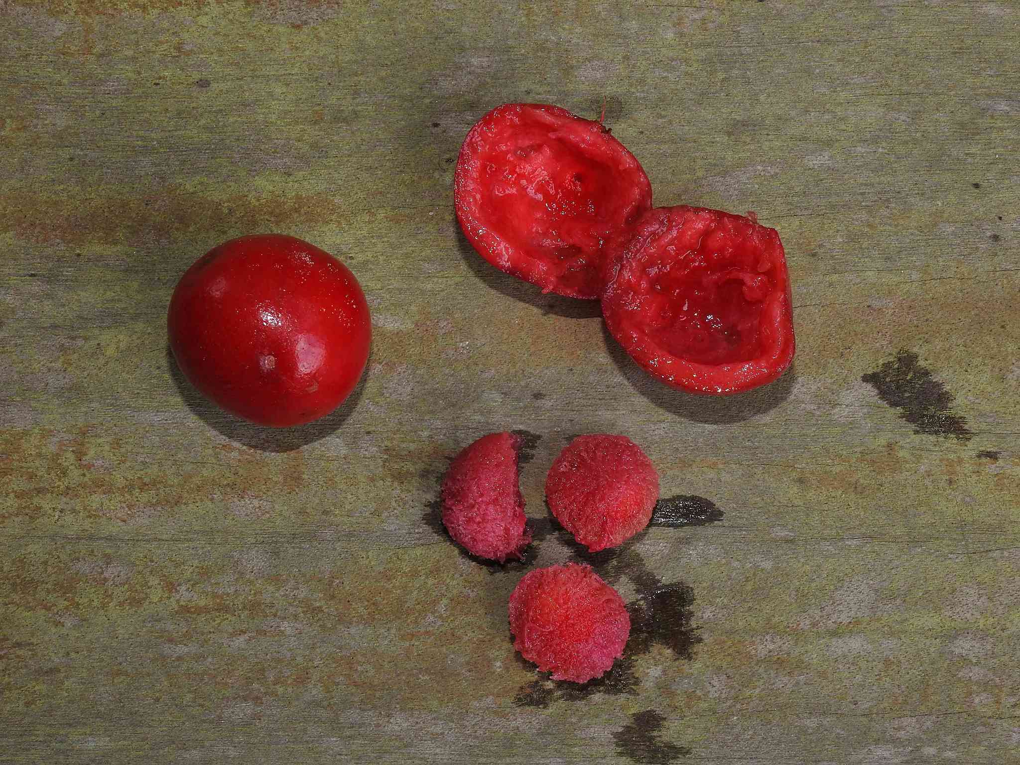 Imagem de Uvaia-do-mato