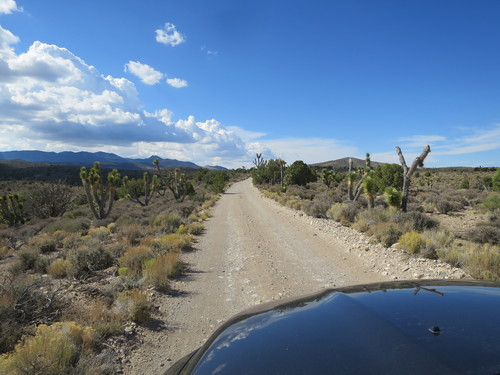 Mormon Well Road