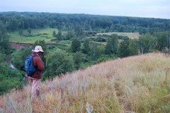 Cleistogenes squarrosa