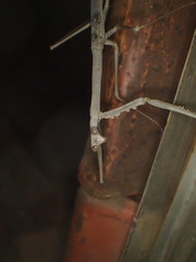 Archimantis quinquelobata