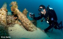 Gymnothorax pseudothyrsoideus