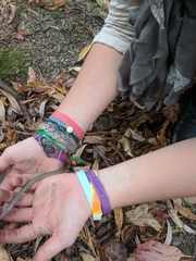 Nerodia sipedon insularum