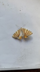 Pityeja histrionaria