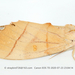 Euhampsonia cristata - Photo (c) Nan Yang, osa oikeuksista pidätetään (CC BY-NC), lähettänyt Nan Yang