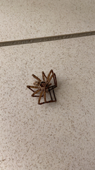 Heteropoda venatoria