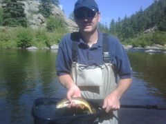 Oncorhynchus clarkii