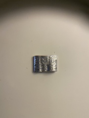 Corthylio calendula calendula