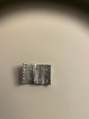 Corthylio calendula calendula