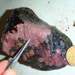 Coralline Crust - Photo (c) gsaunders, some rights reserved (CC BY-NC), uploaded by gsaunders