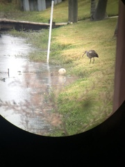 Image Associated With the Occurrence