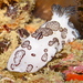 煙囪盤海蛞蝓 - Photo 由 Tine Kinn Kvamme 所上傳的 (c) Tine Kinn Kvamme，保留部份權利CC BY