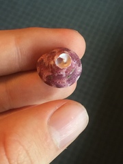 Calliostoma africanum