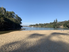 Egretta novaehollandiae