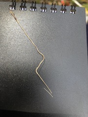 Austrostipa pubescens