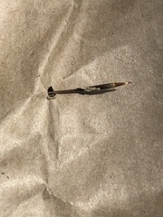 Austrostipa pubescens