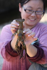 Faxonius longidigitus