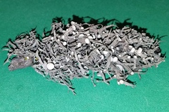 Ramalina puberulenta