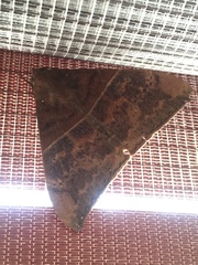 Ophisma