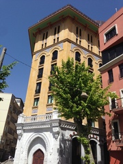 Platanus