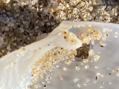 Periploma planiusculum