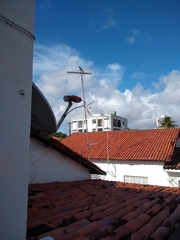 Rupornis magnirostris