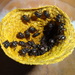 Scaptotrigona mexicana - Photo (c) Larroyo,  זכויות יוצרים חלקיות (CC BY-NC)