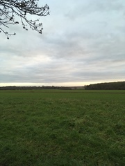 Milvus milvus milvus