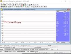 Parastrellus hesperus