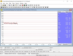 Parastrellus hesperus
