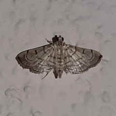 Salbia