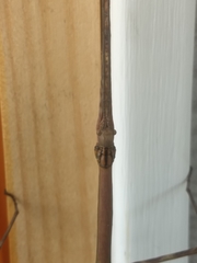Heteronemia
