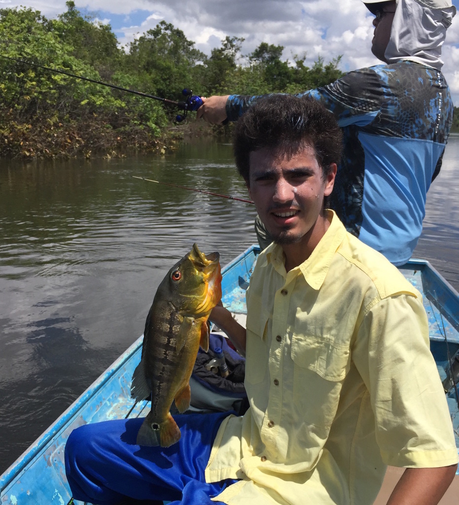 Royal Peacock Bass