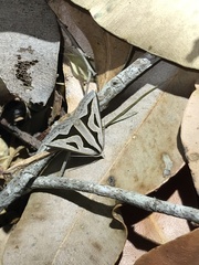 Dichromodes personalis