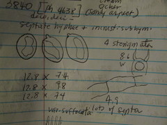 Coniophora arida suffocata