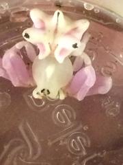 Epicadus heterogaster