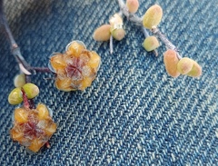 Drosanthemum globosum