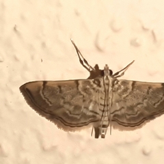 Salbia