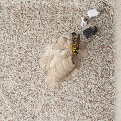 Sceliphron fistularium