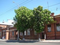 Aesculus hippocastanum