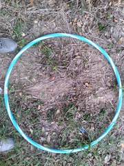 Calyptocarpus vialis