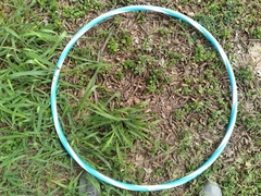 Malvastrum coromandelianum