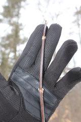 Acer negundo violaceum