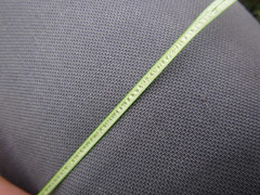 Juncus procerus