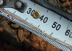 Enteropogon