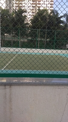 Centropus sinensis parroti